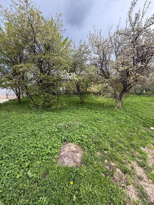 Продаж будинку + земельна ділянка в м. Снятині