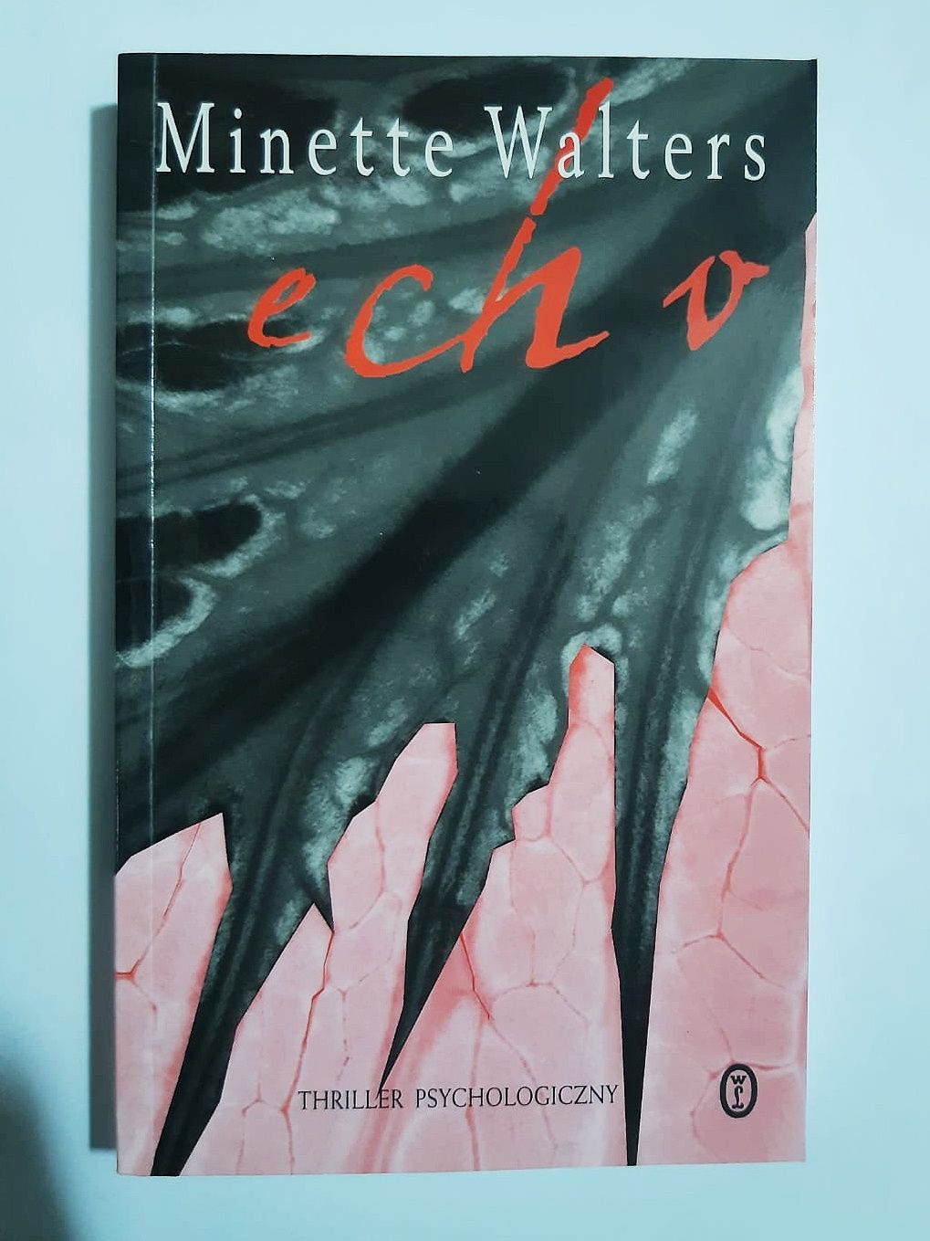 Echo Walters minette ZZ368