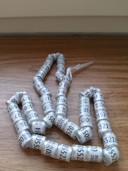 Obrączki na Gołębie Pocztowe 25gr. sztuka