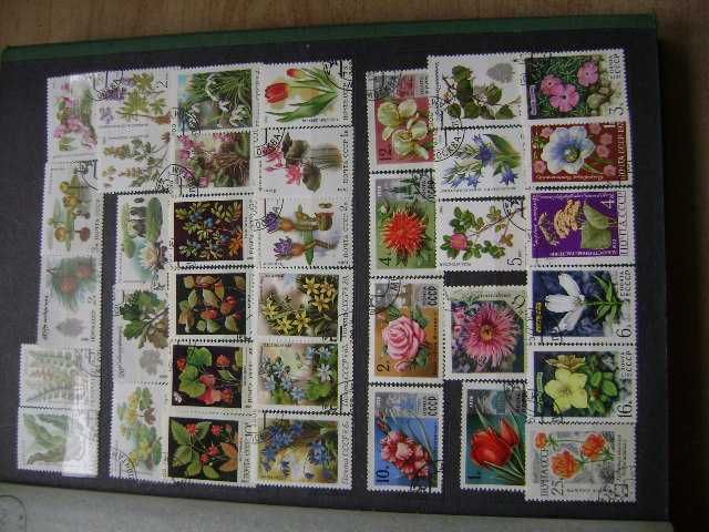 Znaczki pocztowe radzieckie kasowane Zestaw 602 sztuki+klaser A4/20str