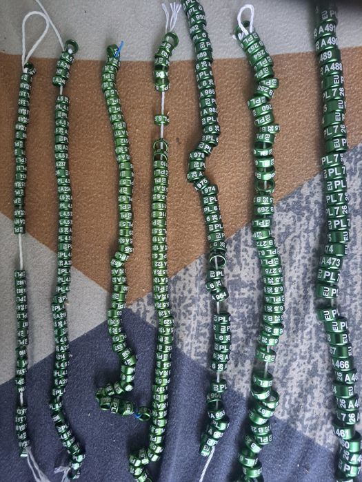 Obraczki stałe metal 3 mm golabki egzotyka 10 sztuk