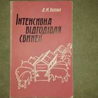 Інтенсивна відгодівля свиней Копил