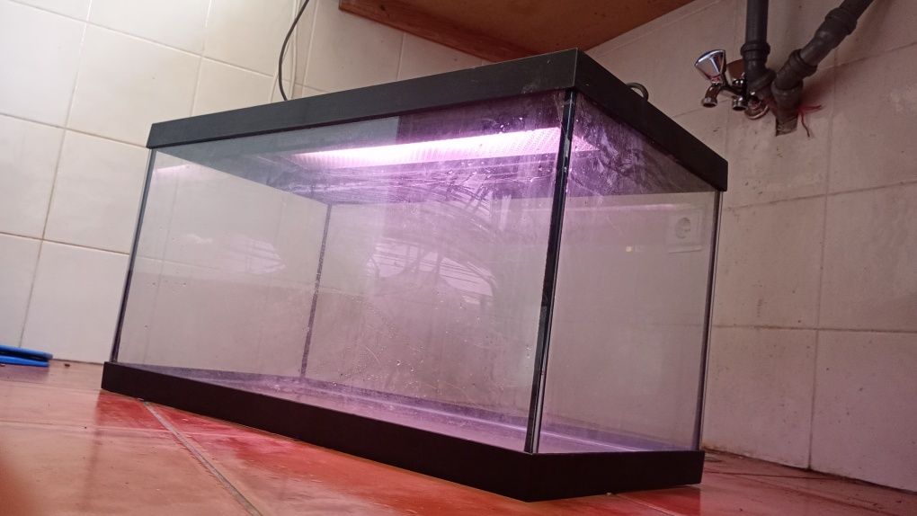 Aquario com tampa e Luz