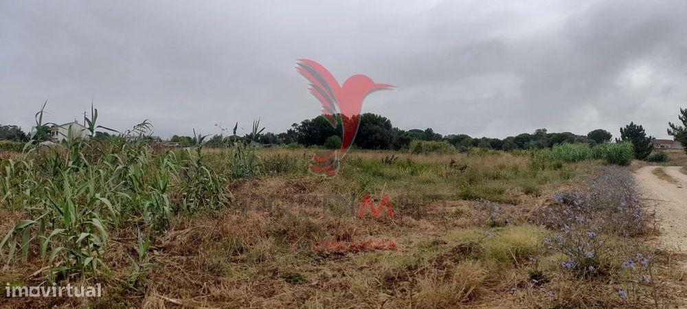 Terreno Industrial
