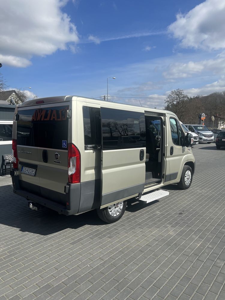 Wypożyczalnia Samochodów Busów Bus 8 osobowy Fiat Ducato Panorama