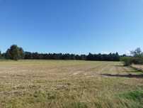 Ostrowo k.Jastrzebiej Góry,Działka budowlana 1290 m