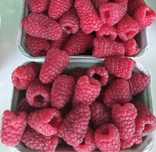 Ekologiczne owoce maliny deserowej  1kg