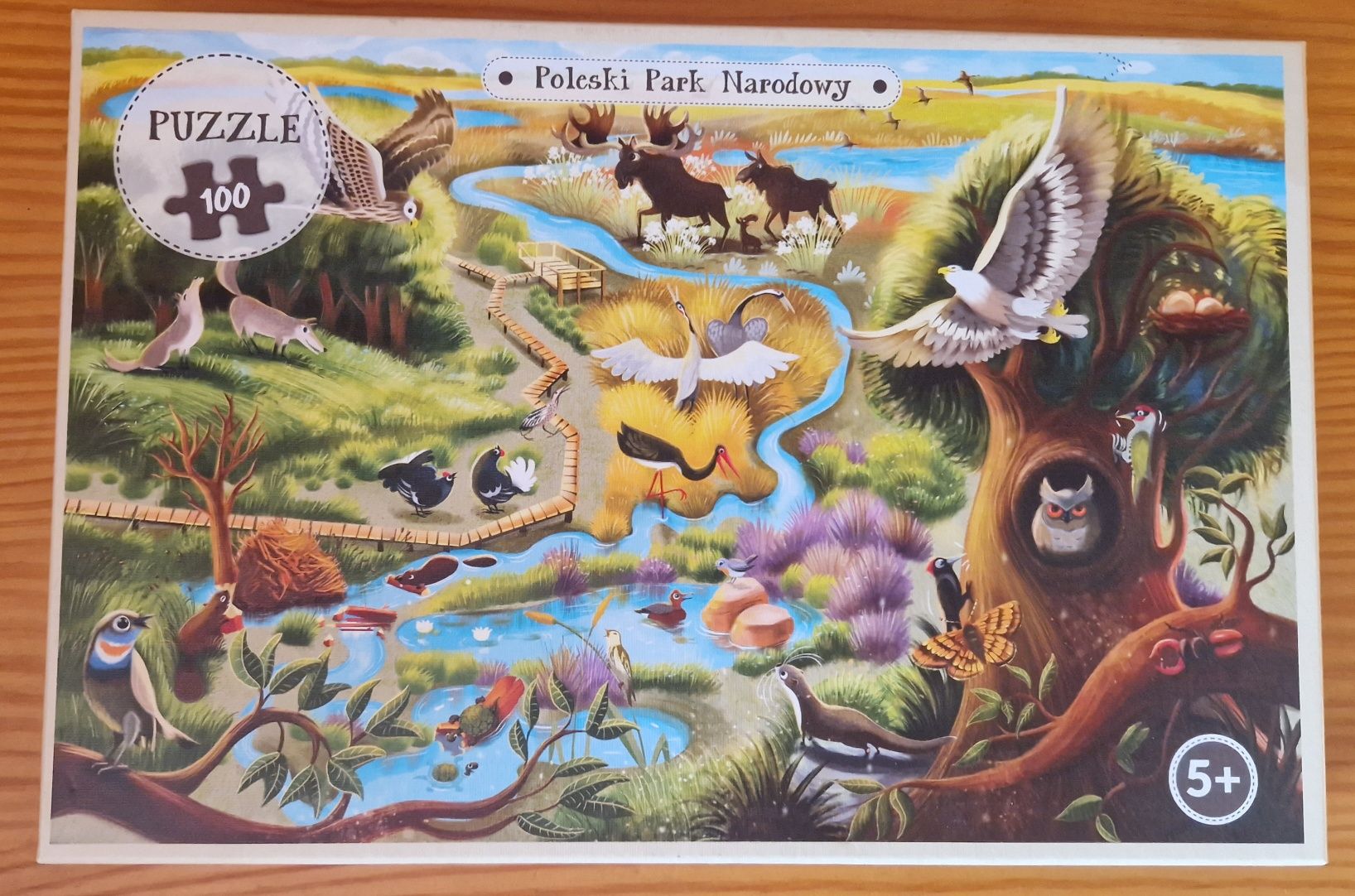 Nowe puzzle Poleski Park Narodowy 100 elementów