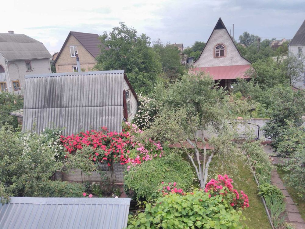 Оренда Дачи с сауной на берегу Днепра. СТ Одісей