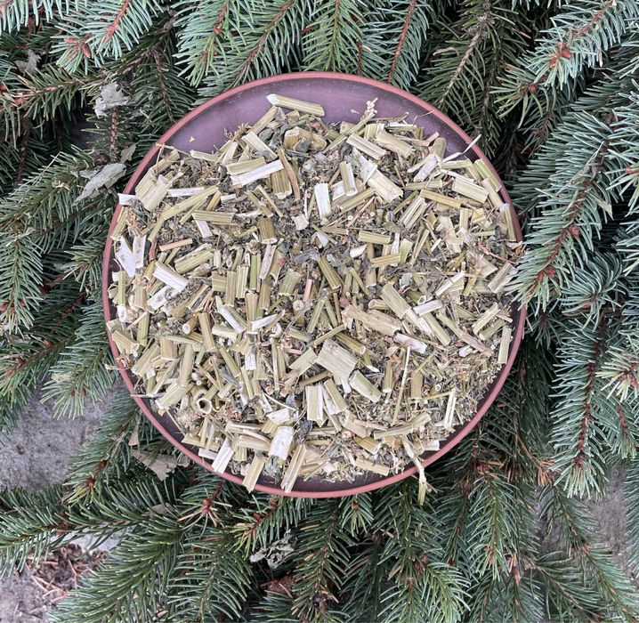 Буркун різаний , донник трава