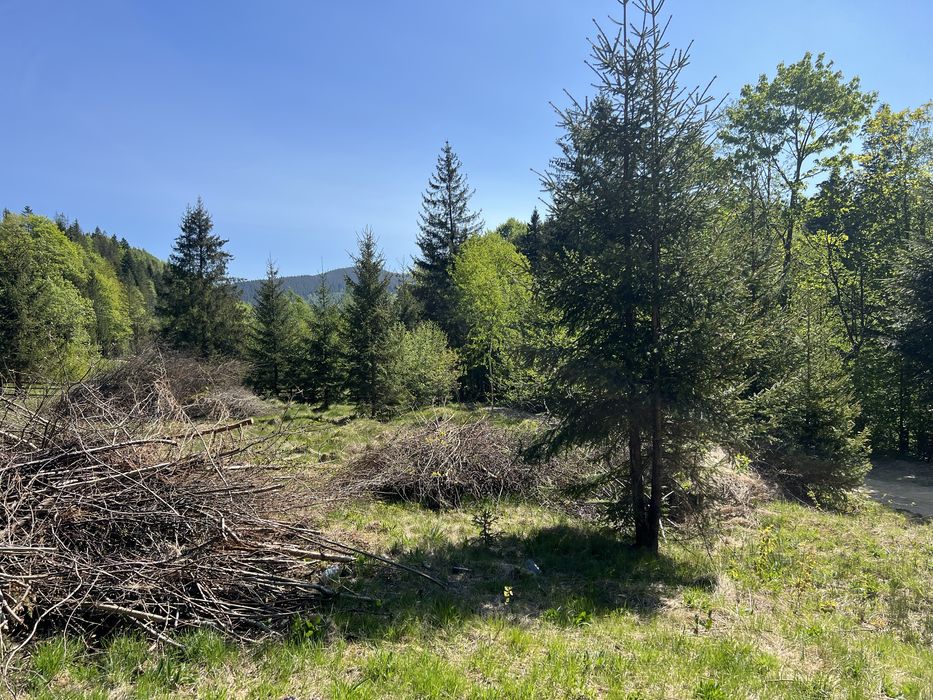 Продам зимельну ділянку в Карпатах