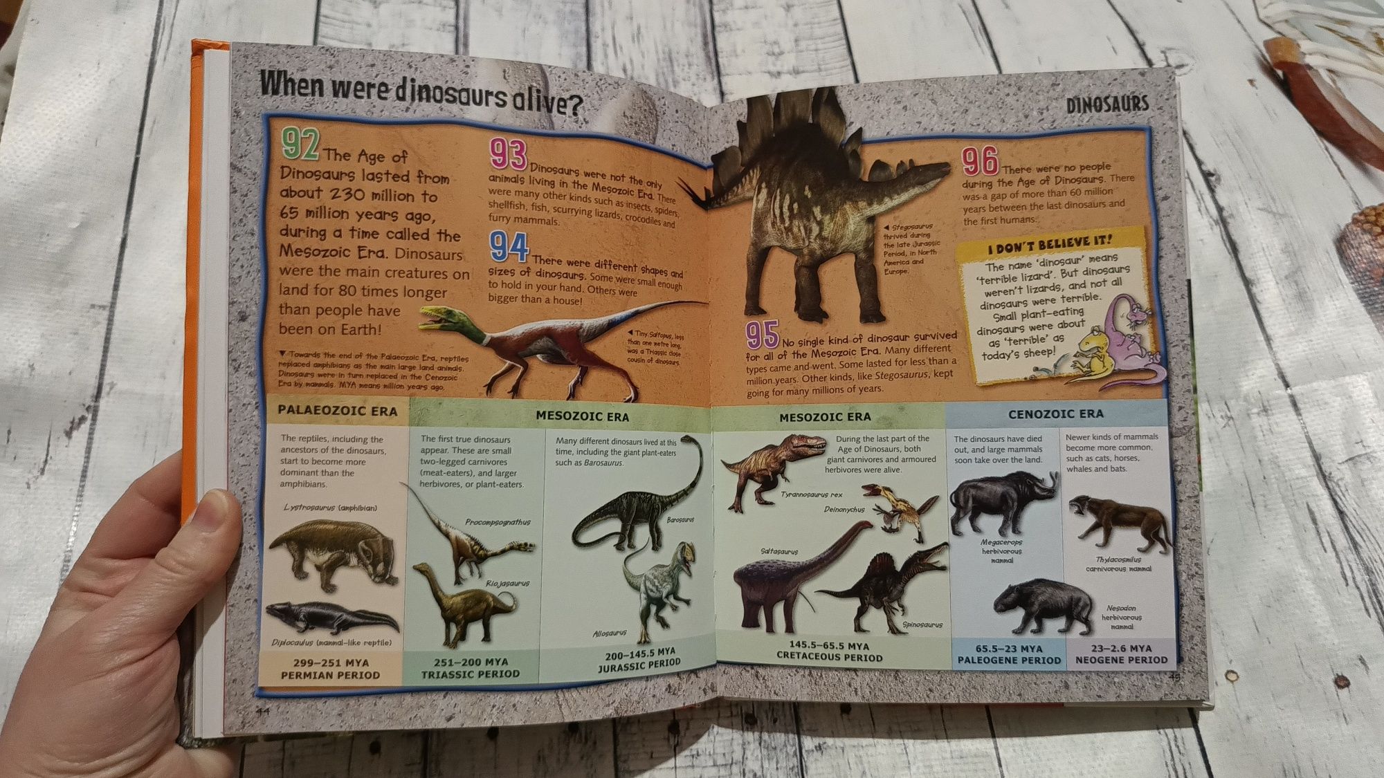 Дитяча книга англійською Wild About Dinosaurs Miles Kelly.