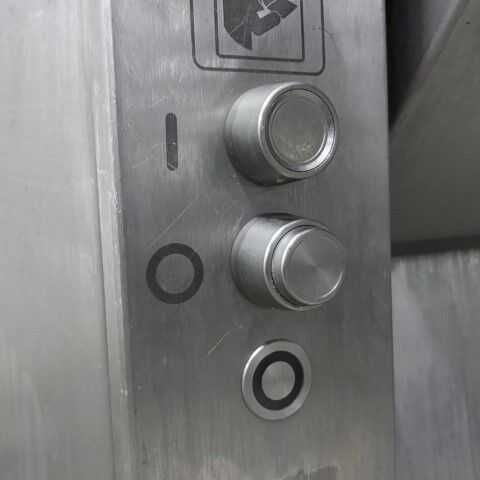 Skórowaczka Maja DWUTAŚMOWA