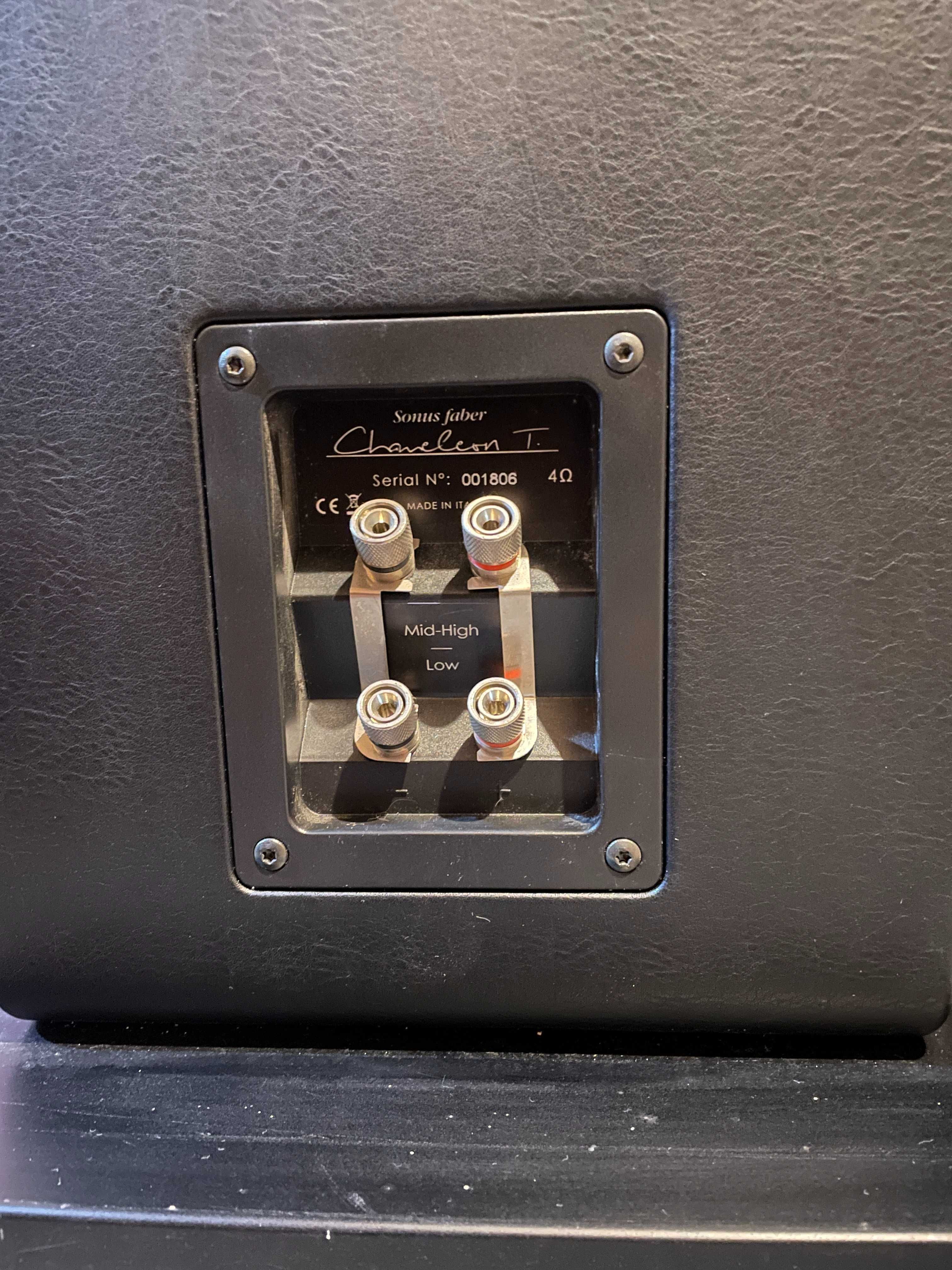Kolumny podłogowe Sonus Faber Chameleon T z panelami piano black