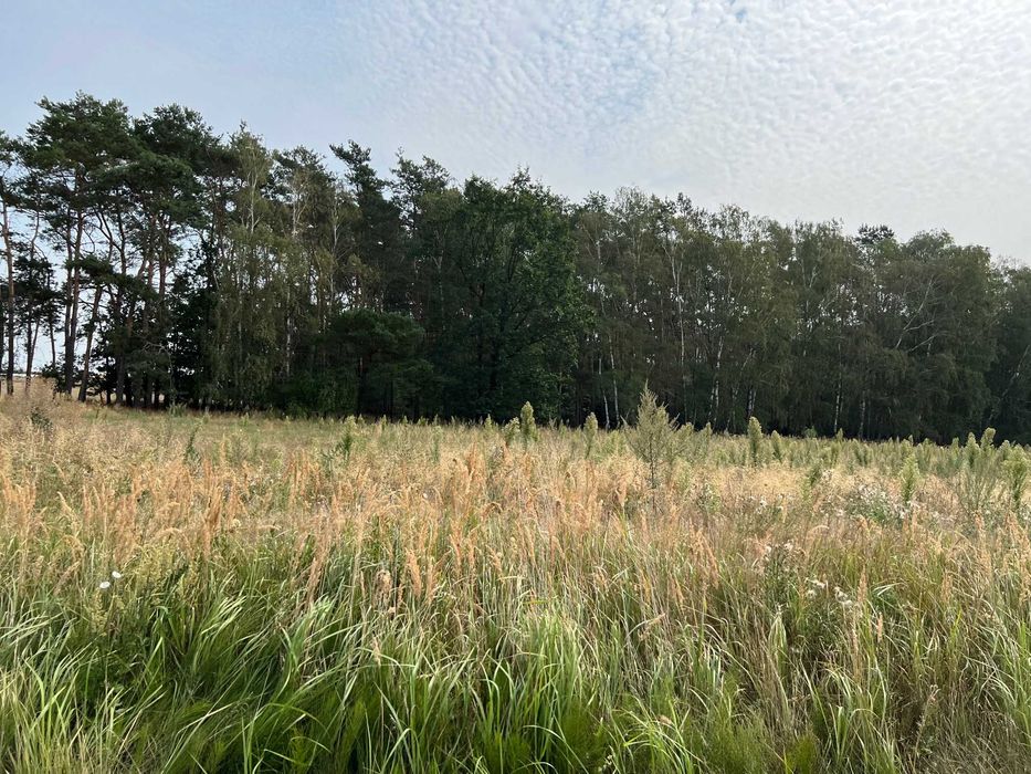 sprzedam dwie, pięknie położone działki budowlane graniczące z lasem