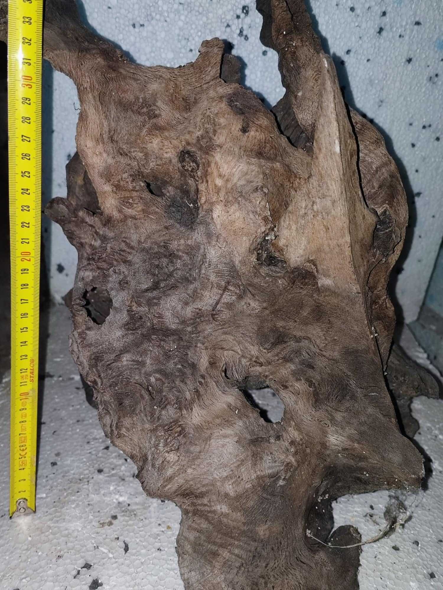 2 duże korzenie do akwarium