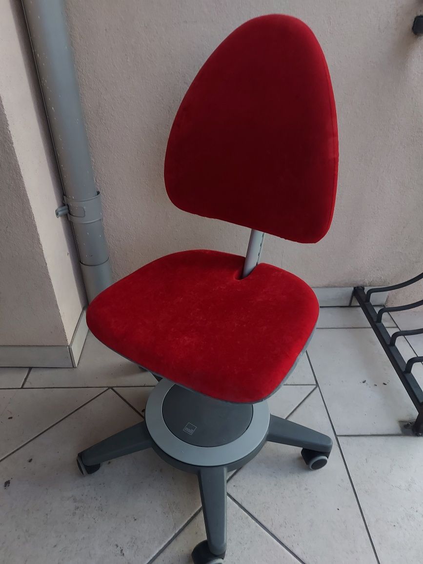MOLL krzesło do biurka dla dziecka,rośnie,razem z dzieckiem,Nowy model