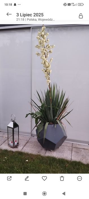 Donice metalowe bardzo mocne