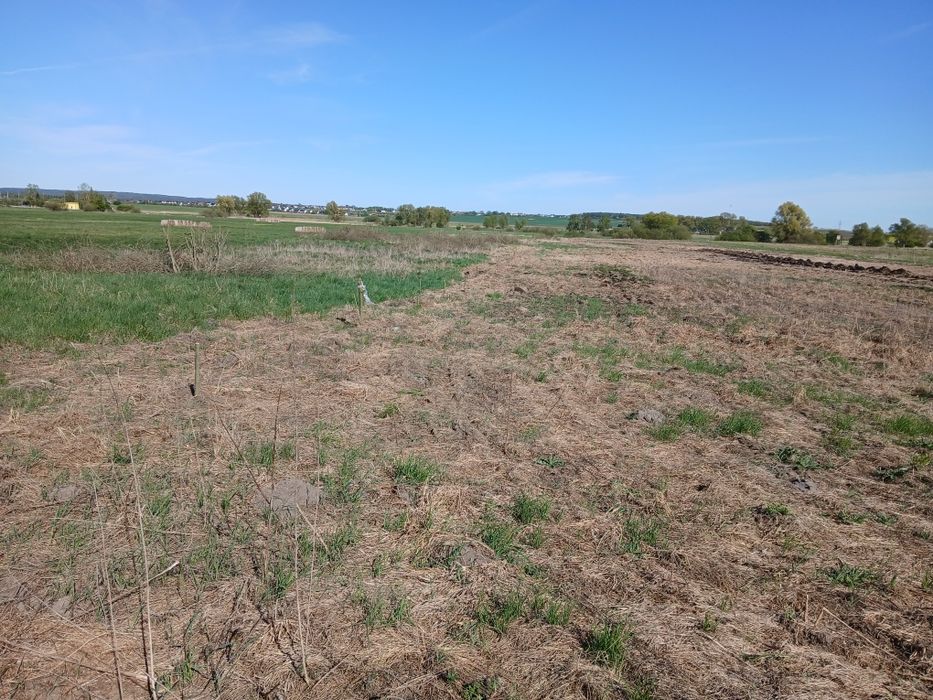 Oddam ziemię w dobre ręce e