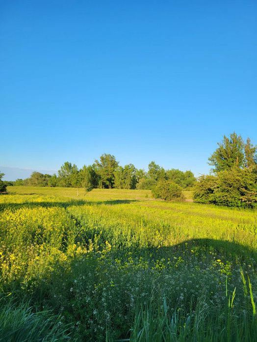Działki rekreacyjne 4 i 9 arów, cisza i natura - 4 km od Sandomierza