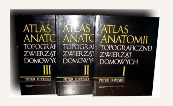 Komplet podręczników do 1 klasy technikum weterynaryjne LESZNO