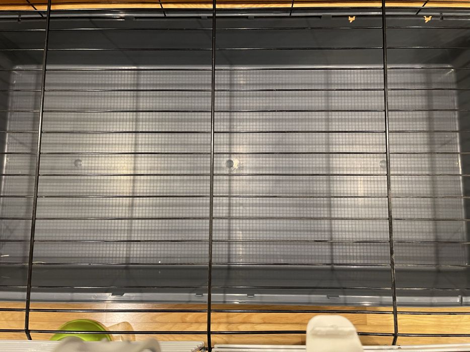 Casota coelho/porquinho da India