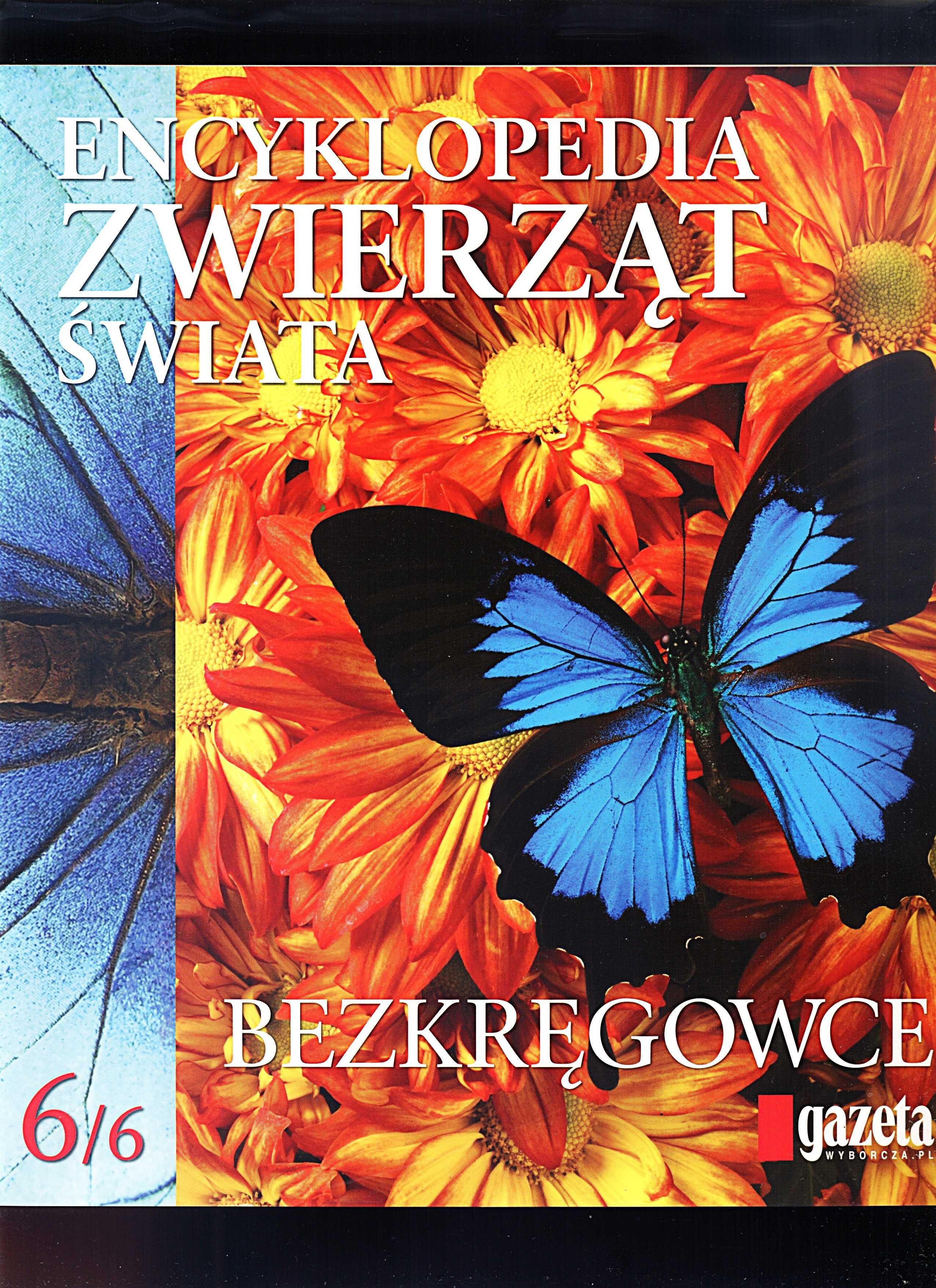 Encyklopedia Zwierząt Świata - komplet