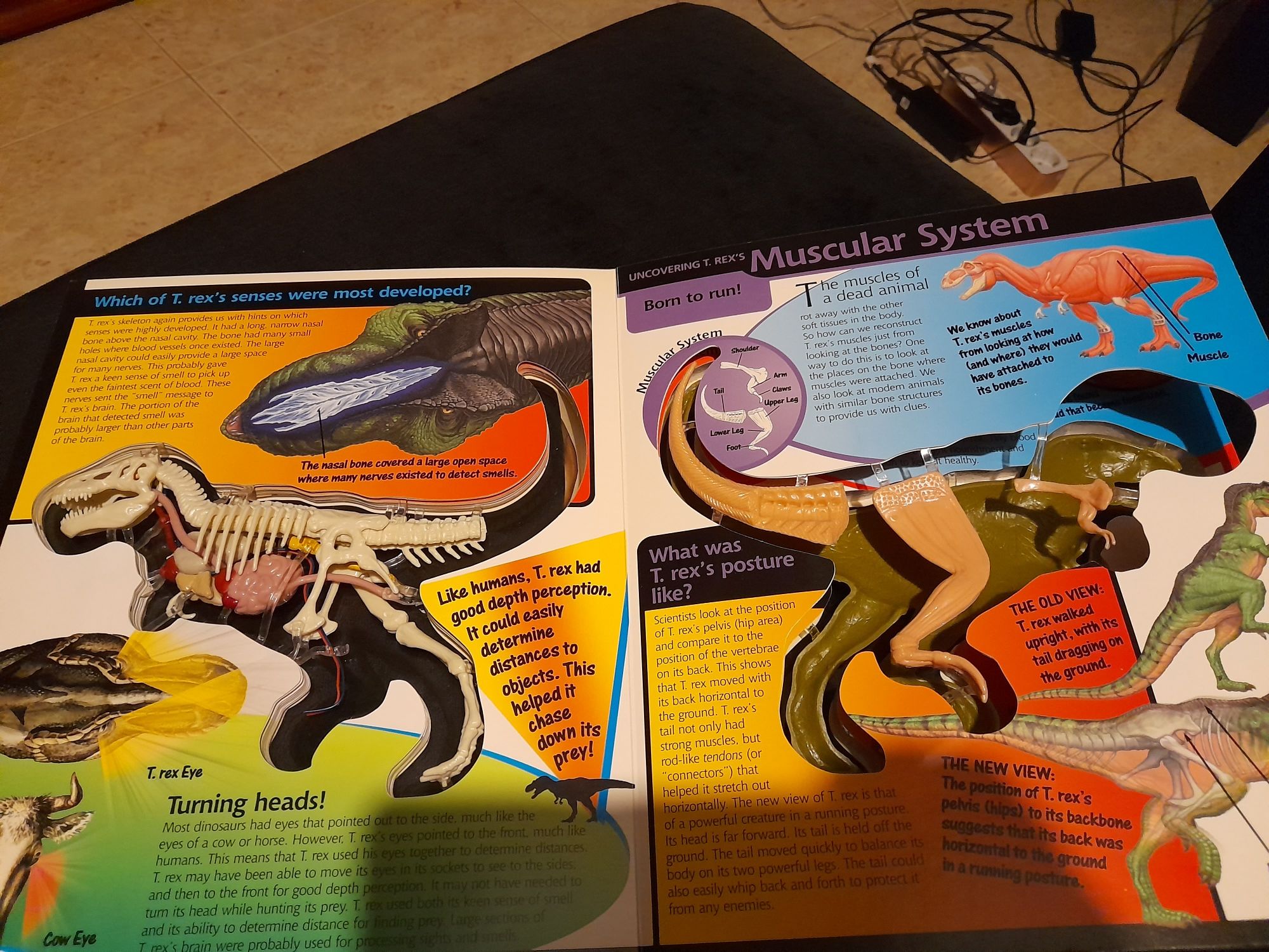 Livro maqueta Dinossauro TRex