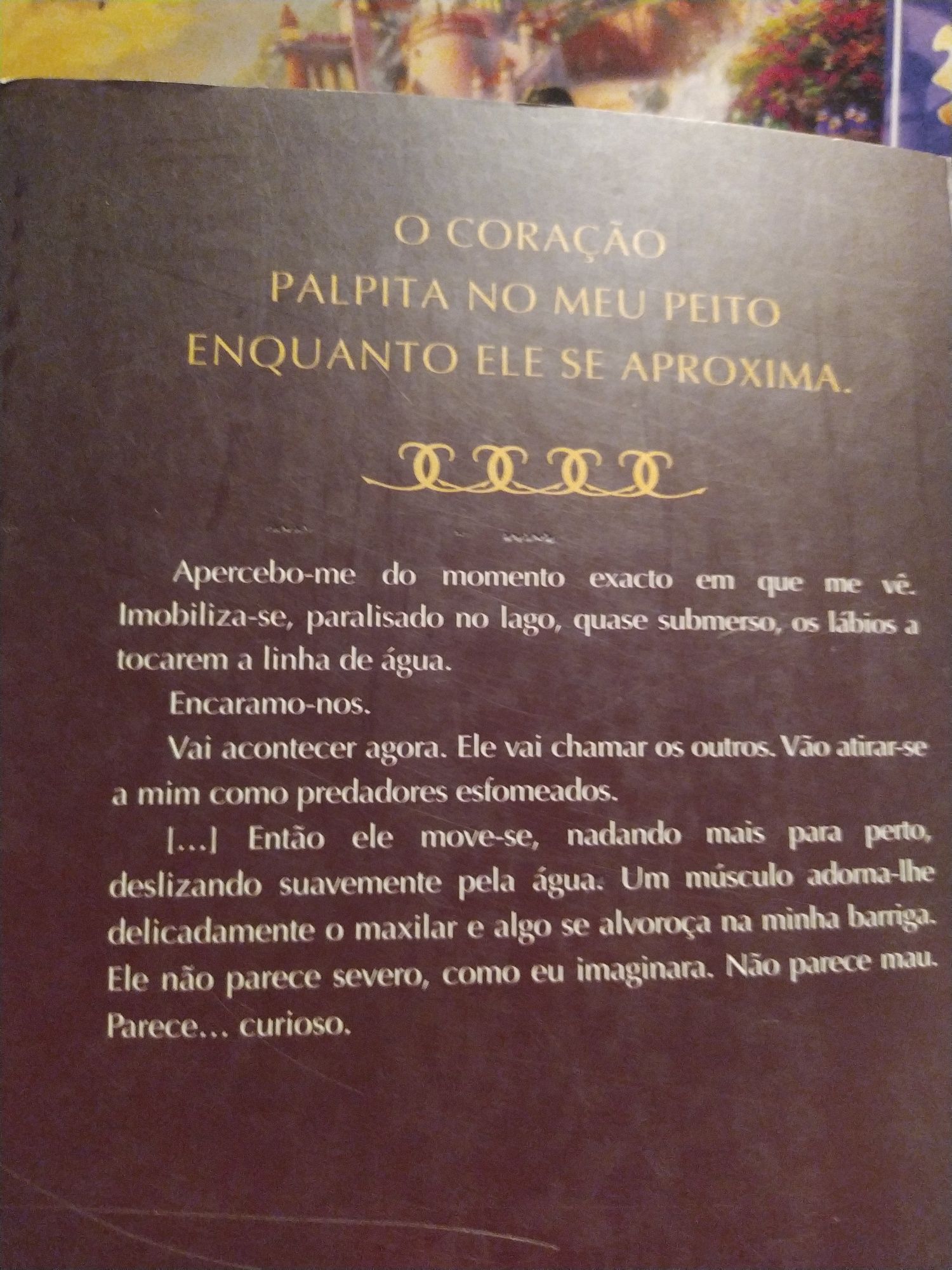 A luz do fogo de Sophie Jordan