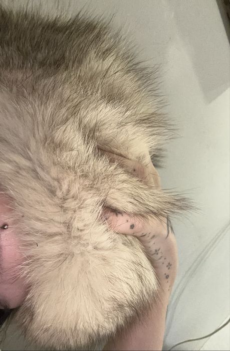 puszysta czapka naturalna w jasnym kolorze