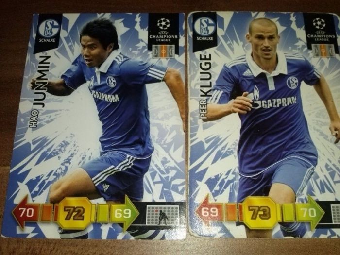 SCHALKE karty piłkarskie kolekcjonerskie PANINI Champions League 10/11