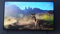 Tv Philips 50 cali 4K UHD smart tv wi-fi HDR+ Ambilight