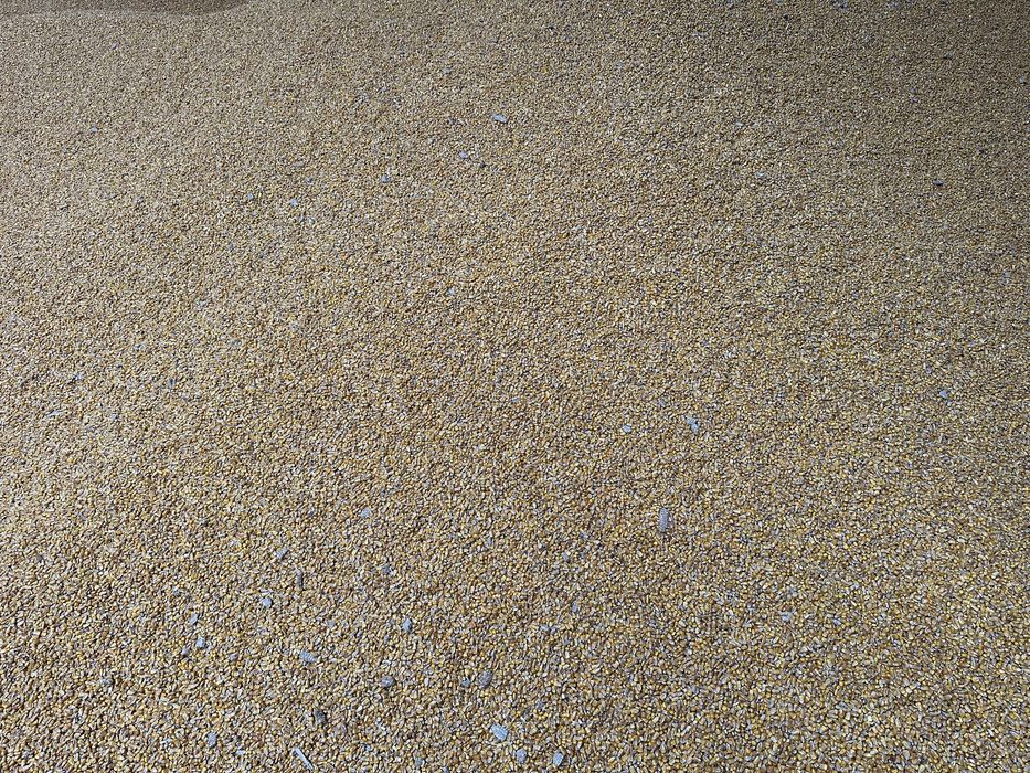 Kukurydza sucha mielona dla Kur Ryb Gołębi