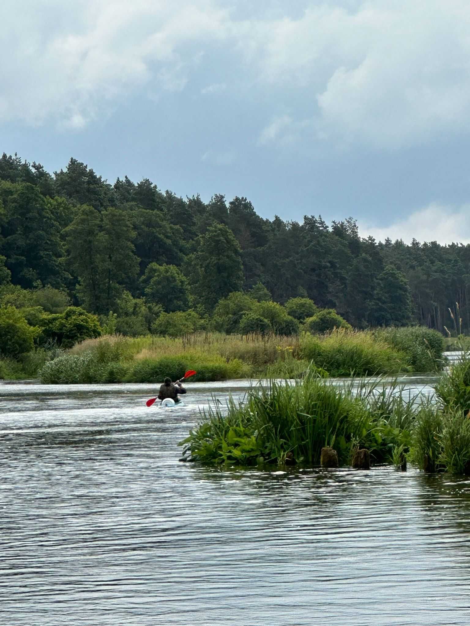 Spływy Kajakowe Pilicą