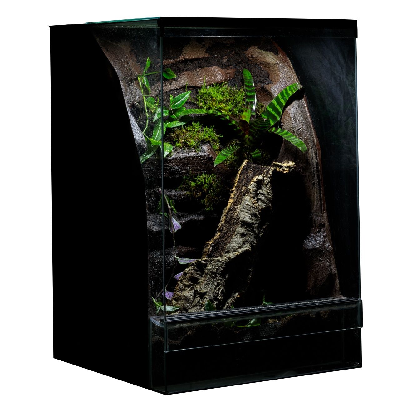 Terrarium 40x40x60