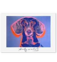 Andy Warhol , Pies, Jamnik plakat 70x50 cm