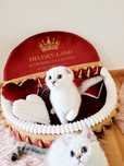 Kocurek, kocur szkocki, fold, Scottish fold, kot