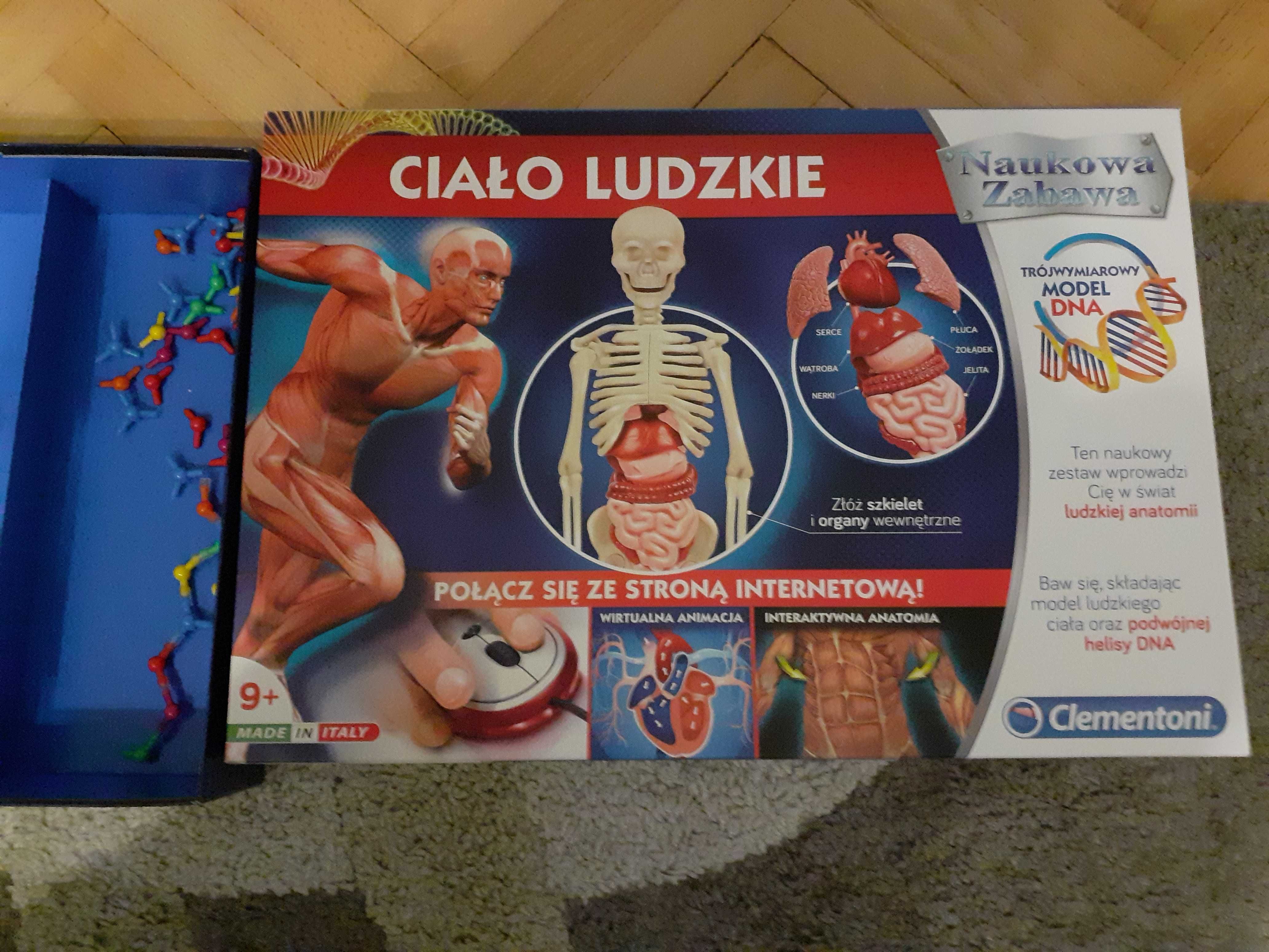 Zestaw do składania ciało ludzkie