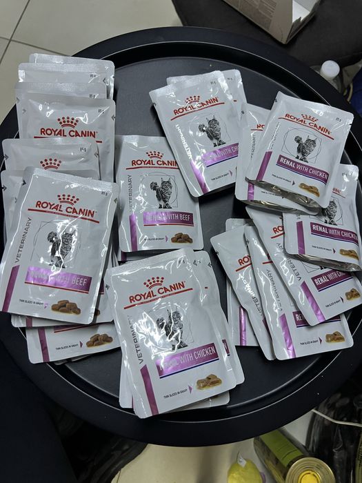 Royal canin renal with beef