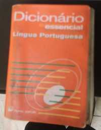 Dicionários de língua portuguesa ki