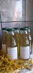 Syrop z nawłoci 330 ml