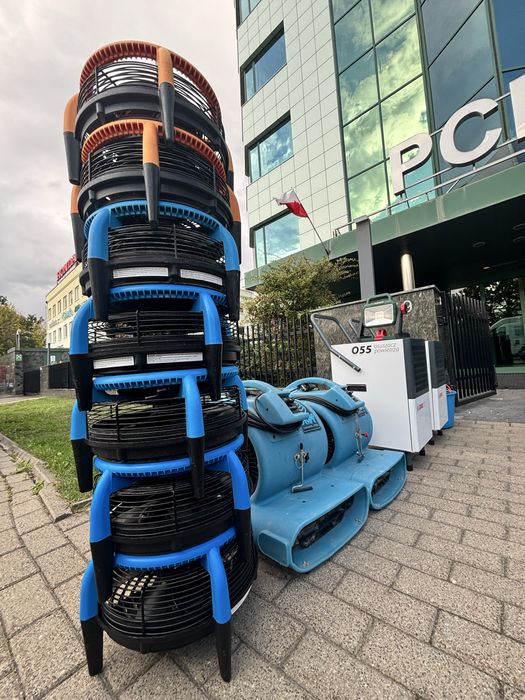 Profesjonalne pranie tapicerki meblowej i wykładzin Pralnia Dywanów