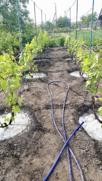 Продам дачу 10 соток Радист відразу біля ставу