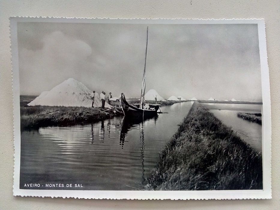 Lote de postais variados antigos