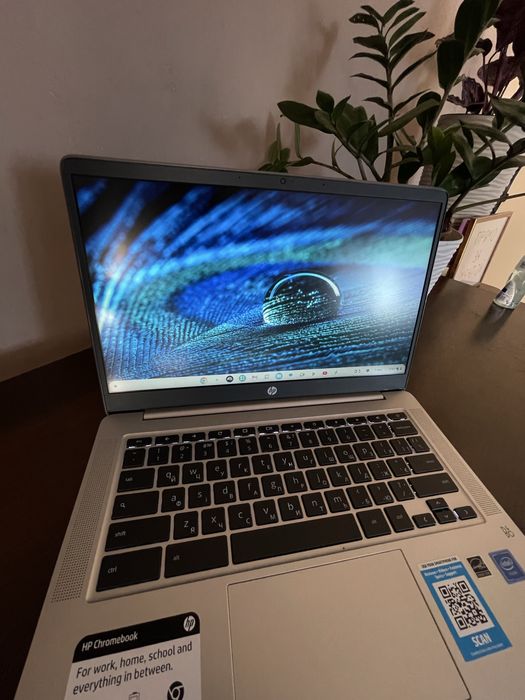 Ноутбук HP Chromebook