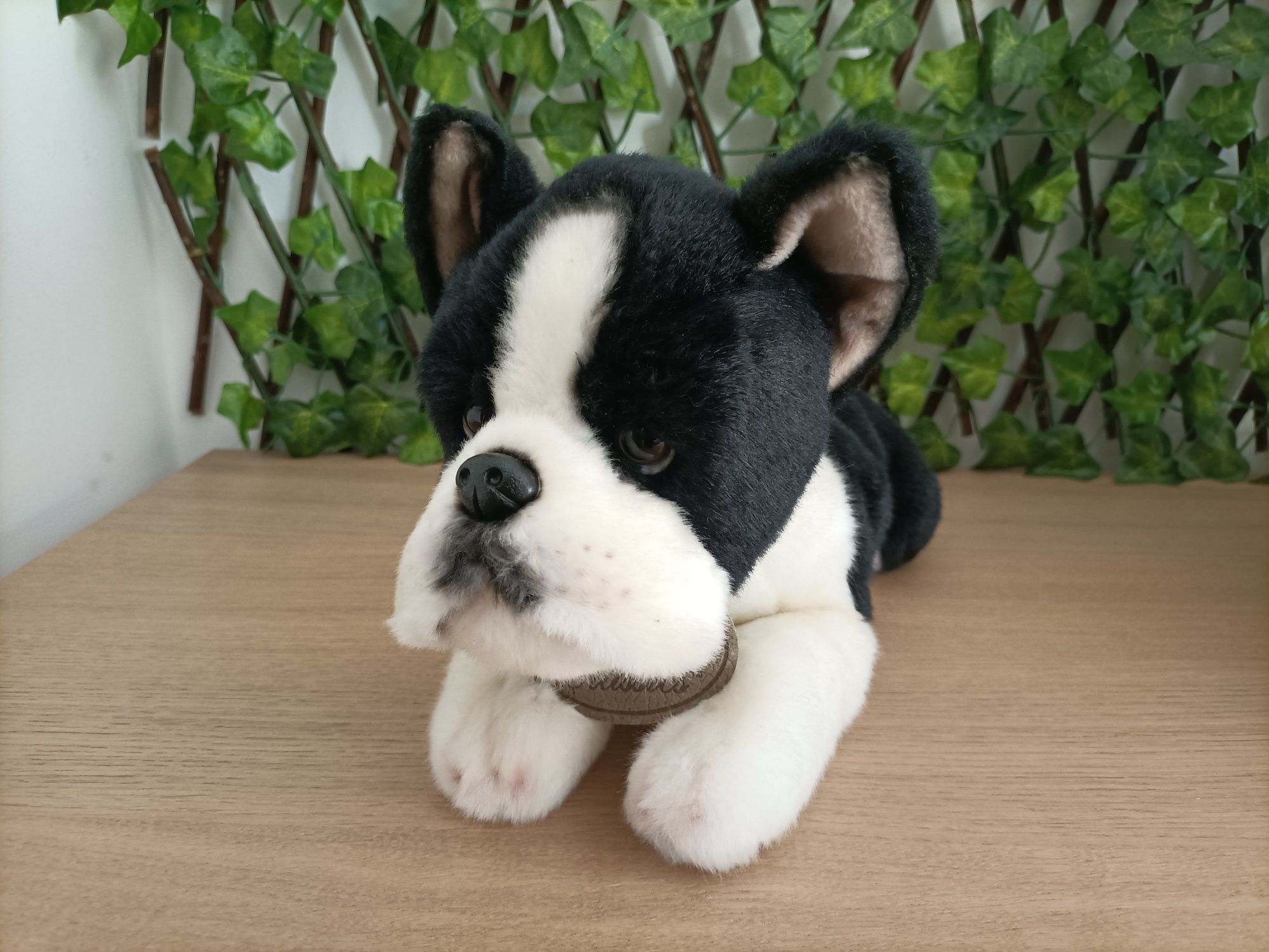 Peluche cão- Yomiko Classics