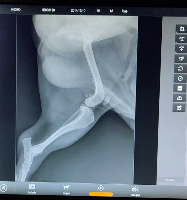 SKANER CR RTG Fire cr+ w bardzo dobrym stanie