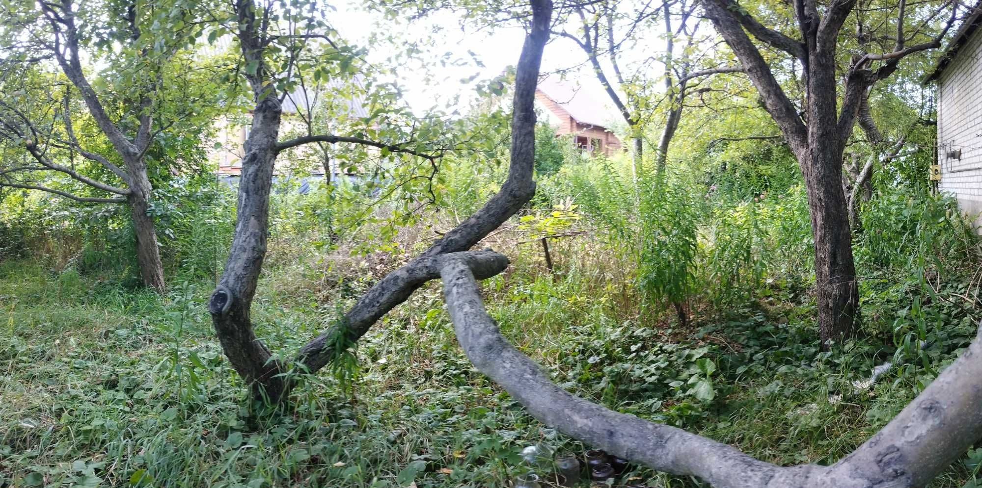 Продається дачний будинок