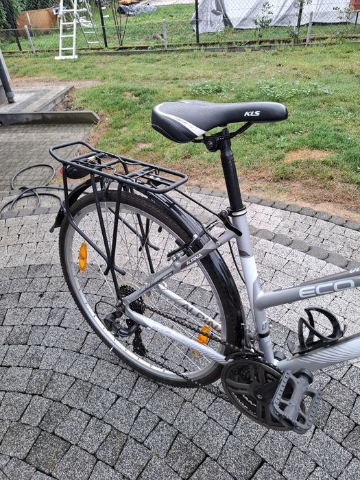 Rower Alpina eco