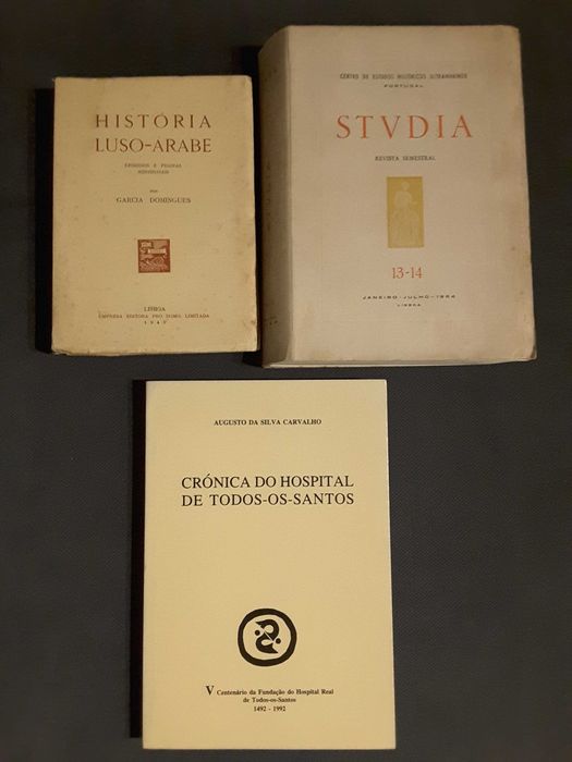 Infante D. Pedro / Hospital de Todos-os-Santos/ A Sociedade Feudal